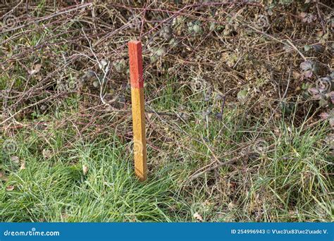 stakeout surveying|wooden survey stakes.